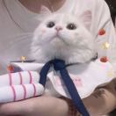 云天拾光