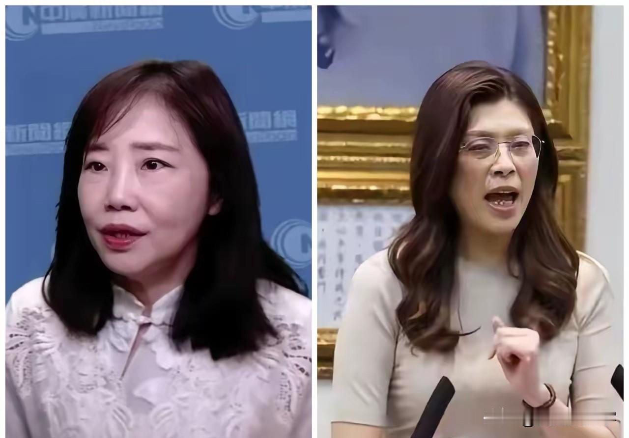 尹乃菁提醒岛内民众，再不能惯着民进党，该是用选票教训他们的时候到了，不要等对岸生