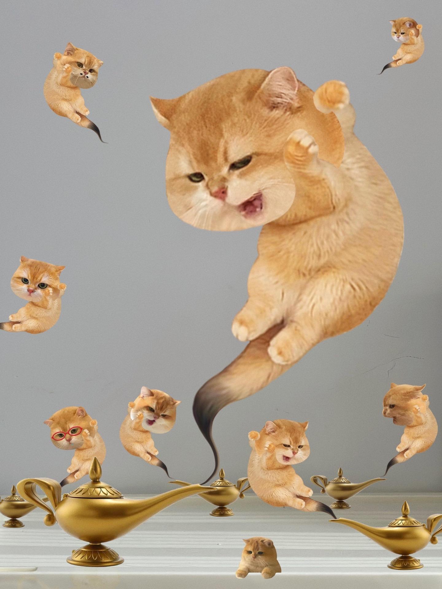 🧞‍♂️U have 3 wishes.去年是猫猫鬼 今年是灯神😎