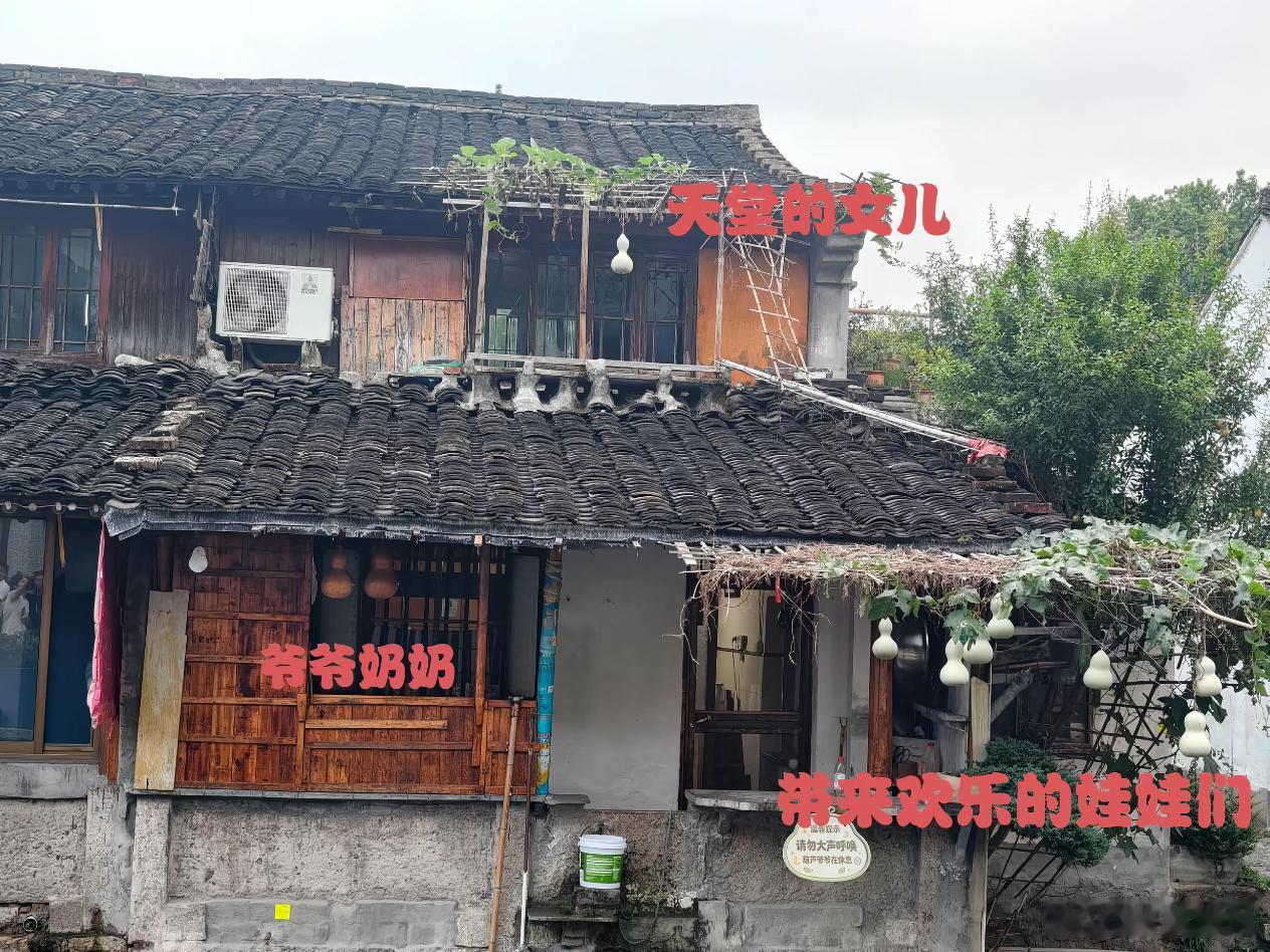 绍兴文旅回应葫芦娃爷爷剪掉葫芦剪掉的是葫芦，其实也是被过度围观打破的宁静。安全隐