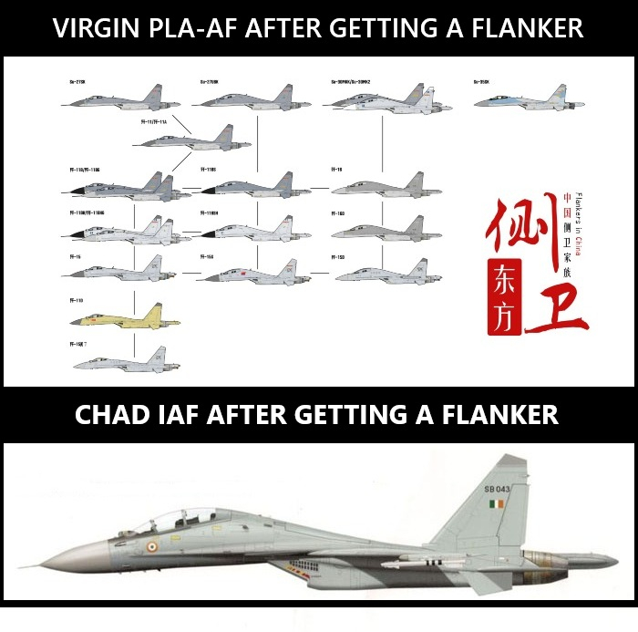 X上收的吊图：小处男PLAAF才改出四型11种侧卫，我们大Jaihind原始设计