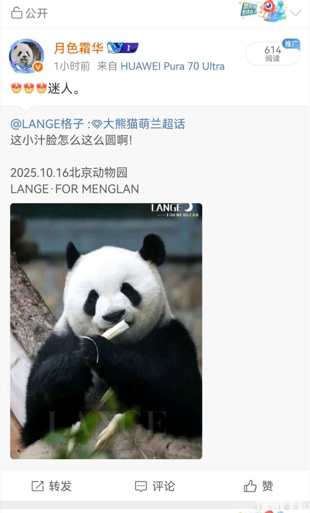 我的爱好就是大体格子，又美丽又聪明，还心地善良，很照顾小动物。 ​​​