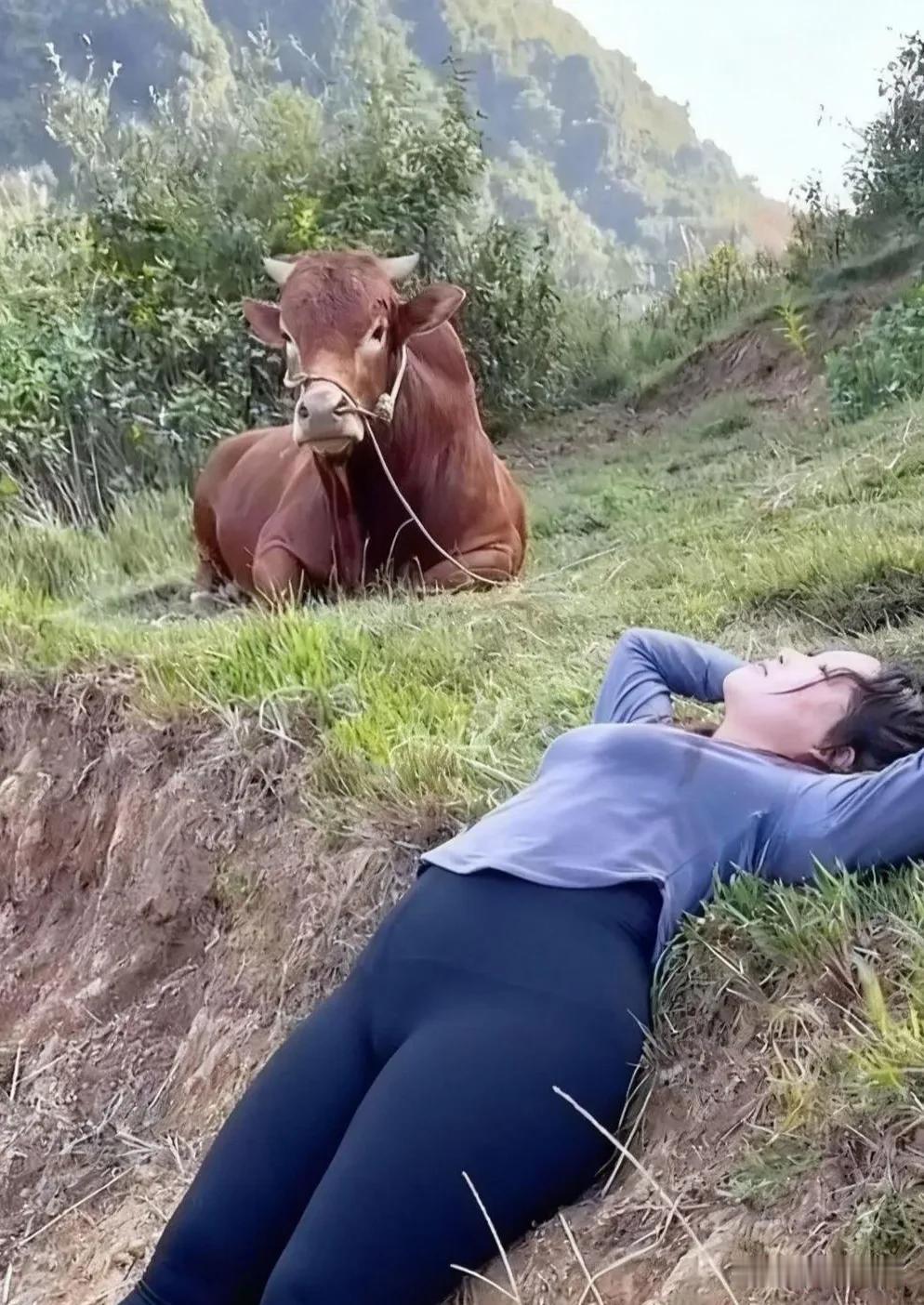 老牛🐂是在想吃嫩草吗？[what]