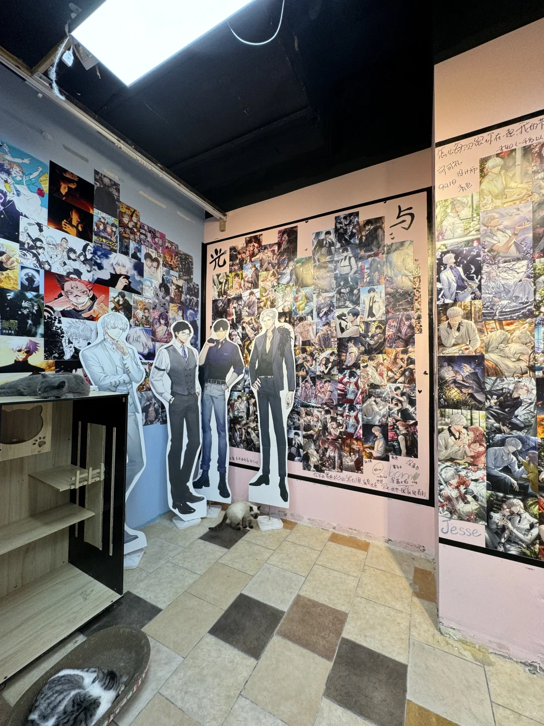 沈阳40r以下的快乐！！！🐶可爱死了啊啊啊！！！