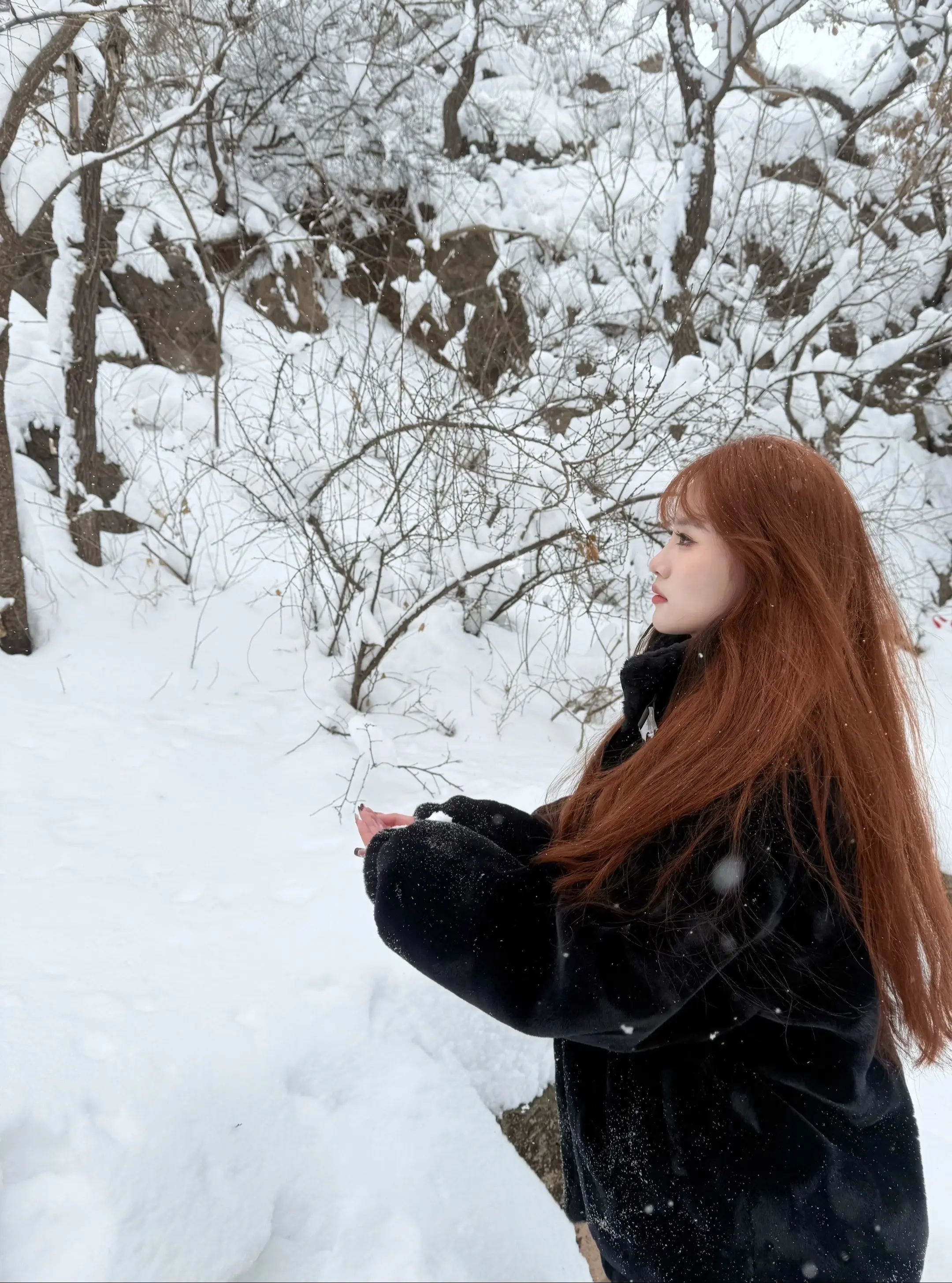 过年好  年年圆圆 年年愿🎆