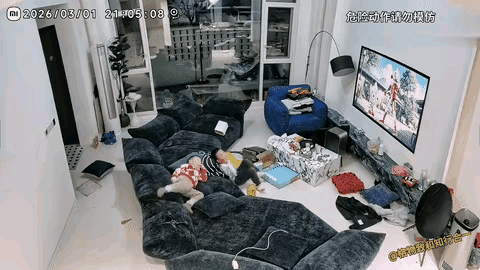 这画面越看越后怕，也不知道这孩子从上面是如何掉下来的，多亏有这个沙发，缓除了孩子