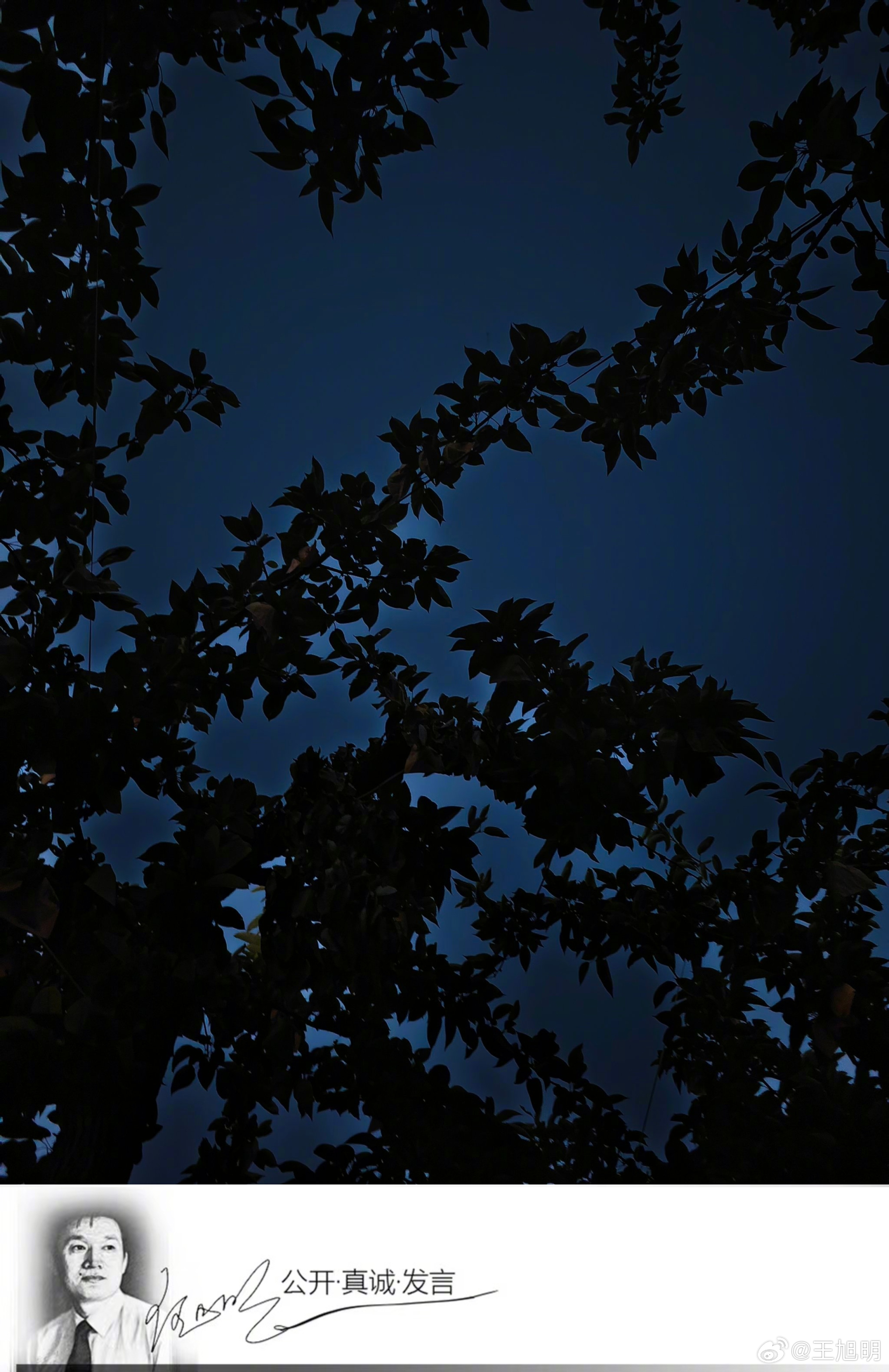 #明诗评#先请读原创小夜诗：拥有我拥有夜一定给给所有需要黑需要夜需要夜一样黑的你
