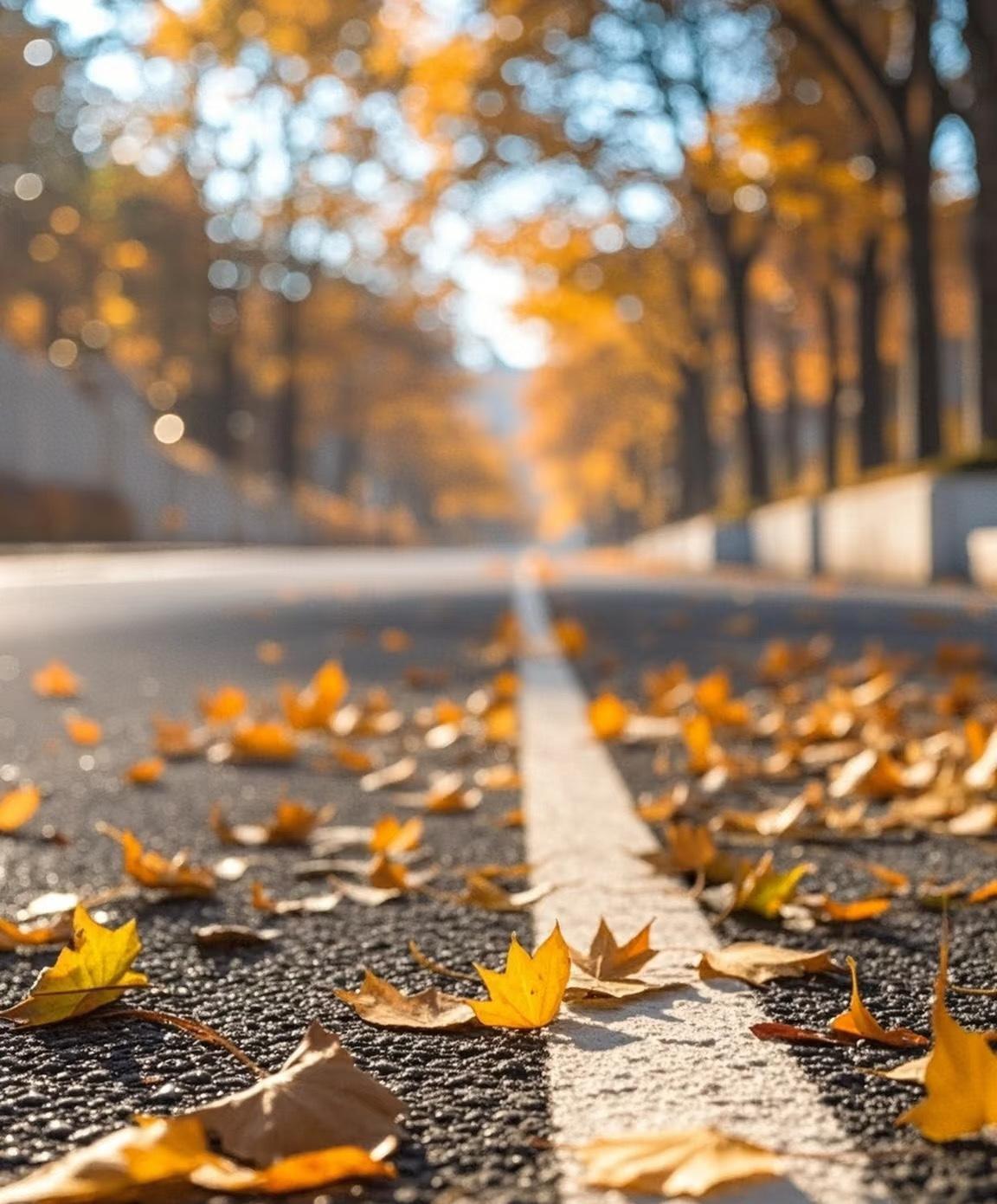 人民日报说：秋天能多有仪式感？
9件小事提升幸福感之一
捡一片落叶留存独家记忆[