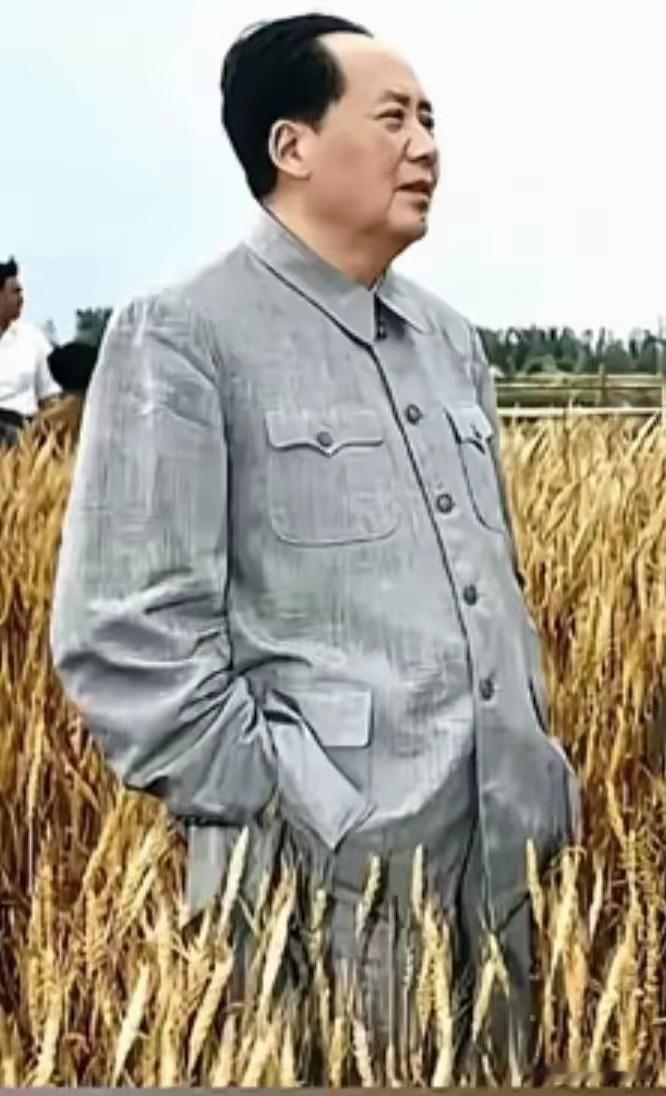 记者街头采访一位老人，老人在回答中有一句话，说"在这个世界上，真心希望我们好的，