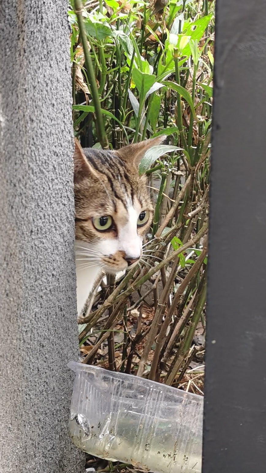 长期如厕刷手机20岁女生盆底已60岁 哇，还有这么大的伤害，自从有了智能手机之后