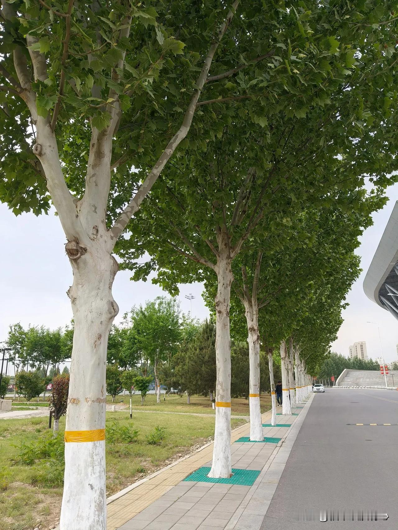 目前还是10几块钱，基本都是早期写的微头条挣的，确实后劲儿不足。因为真的写的东西