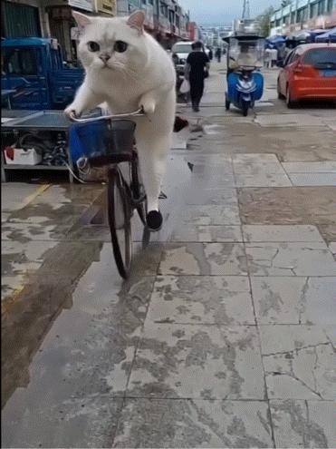 [可爱]大侄子什么时候成为网红 ​​​