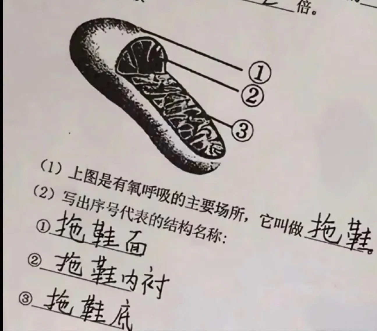 拖鞋学家meme