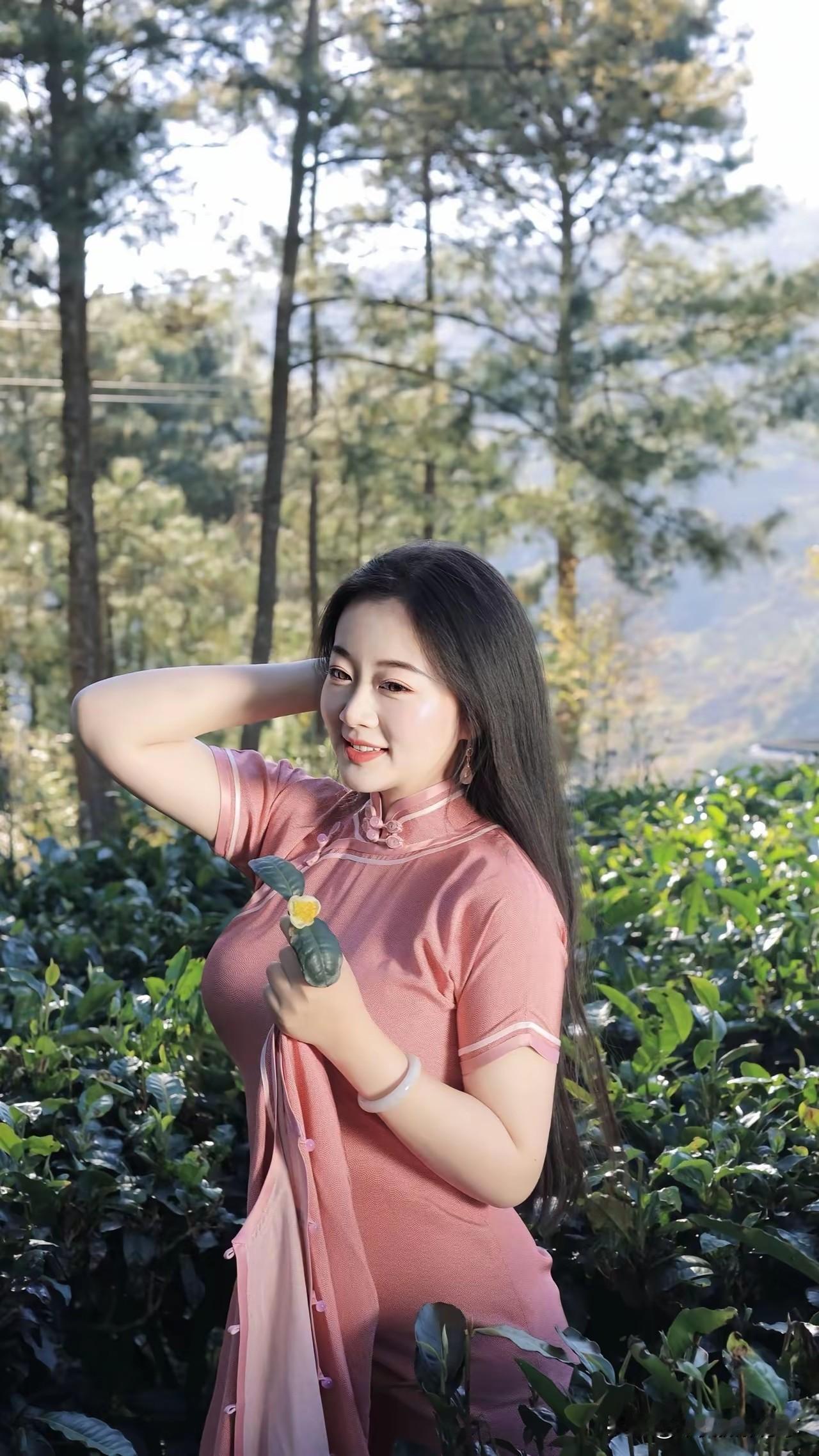 在茶园中，穿旗袍的少女与自然融为一体，笑靥如花。美女旗袍照 旗袍溪畔写真 旗袍风