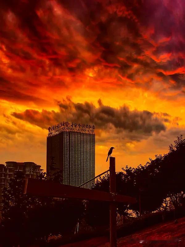 七绝律诗需要对仗吗? 七绝和律诗在对仗要求上差别很大。
七绝分律绝和古绝。律绝要