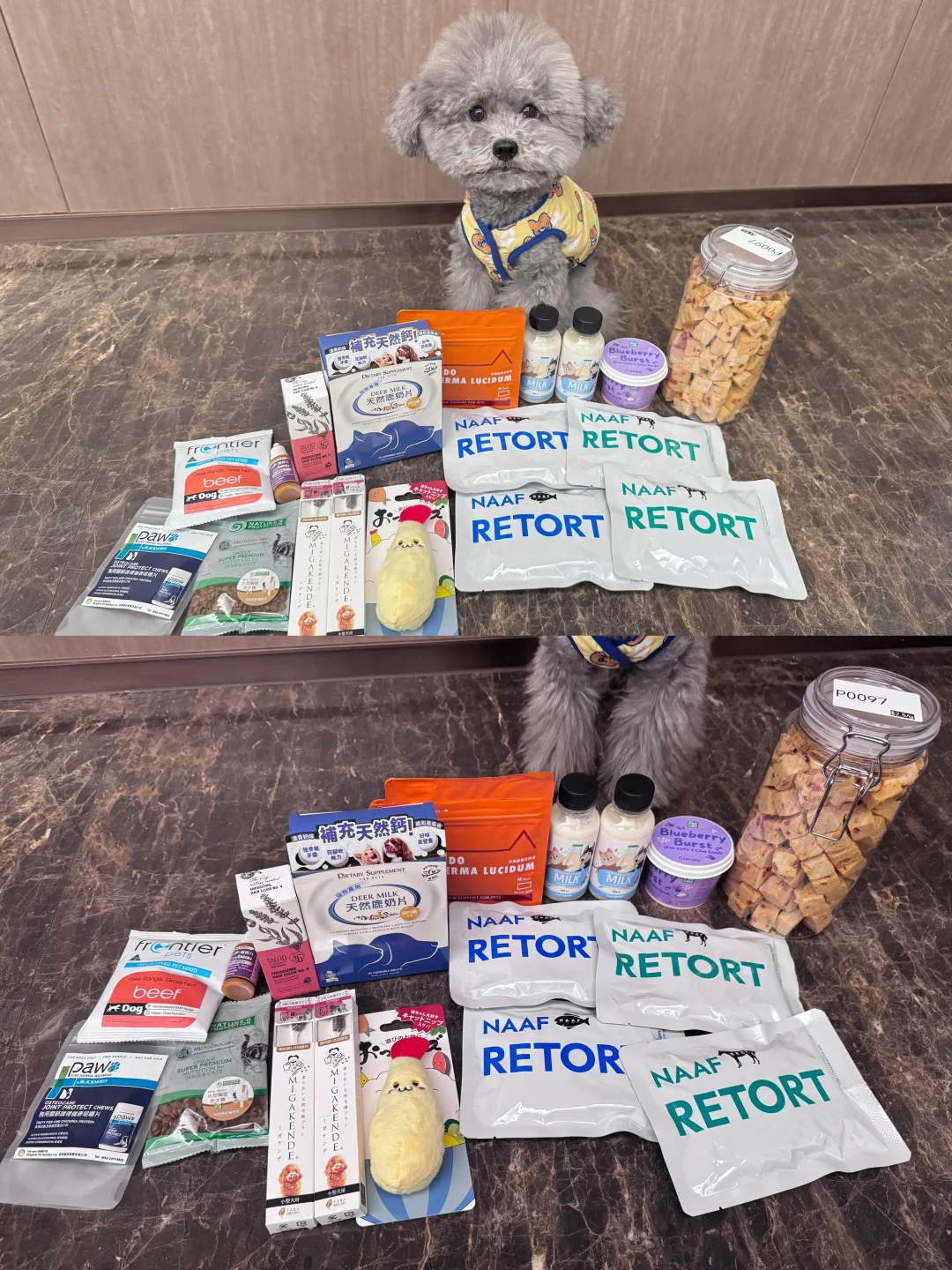 香港宠物展是值得为小狗去打猎的！