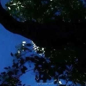 晚安心语 月亮已上岗，星星已就位，世界该安静下来了。好好睡觉，才是人生头等大事。