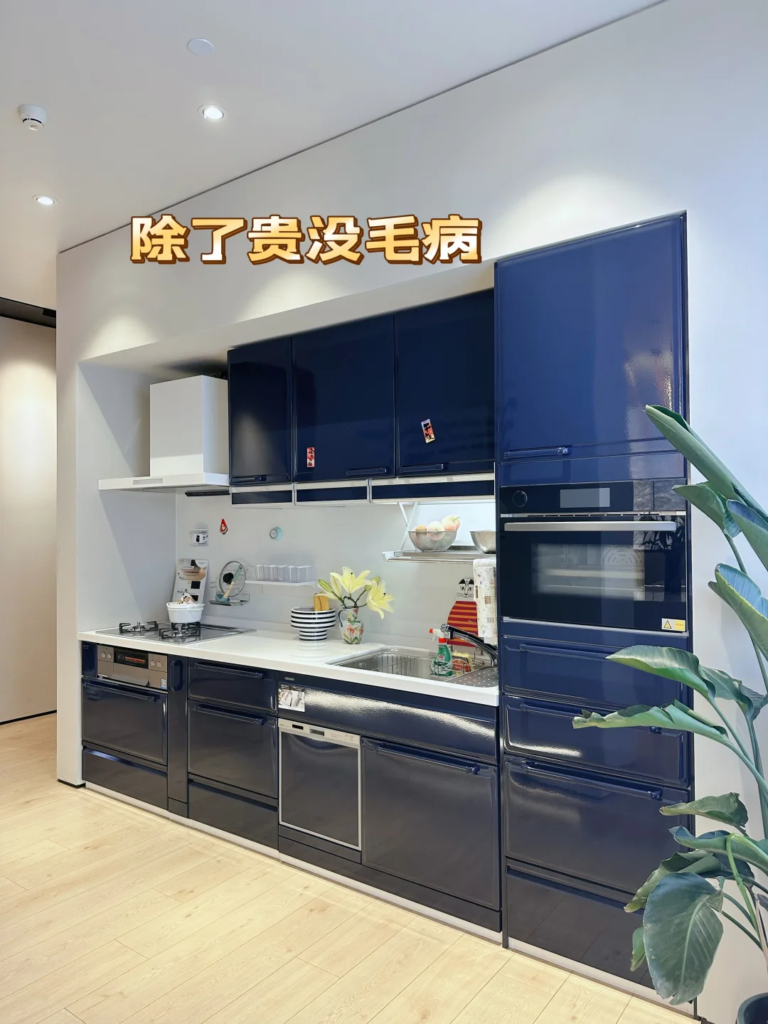 内外全珐琅橱柜