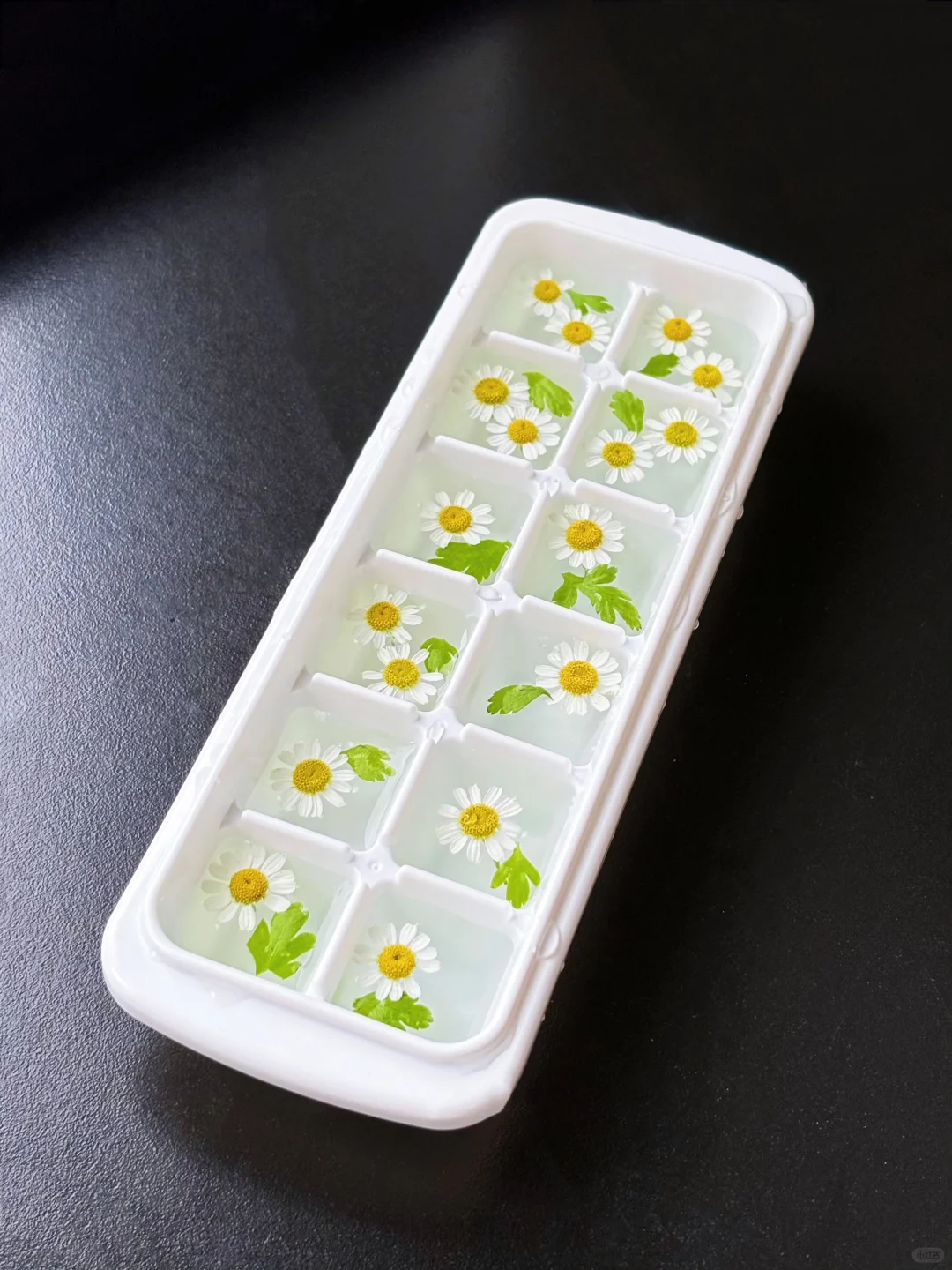 洋甘菊冰块太文艺了吧‼️随便倒点气泡水都美