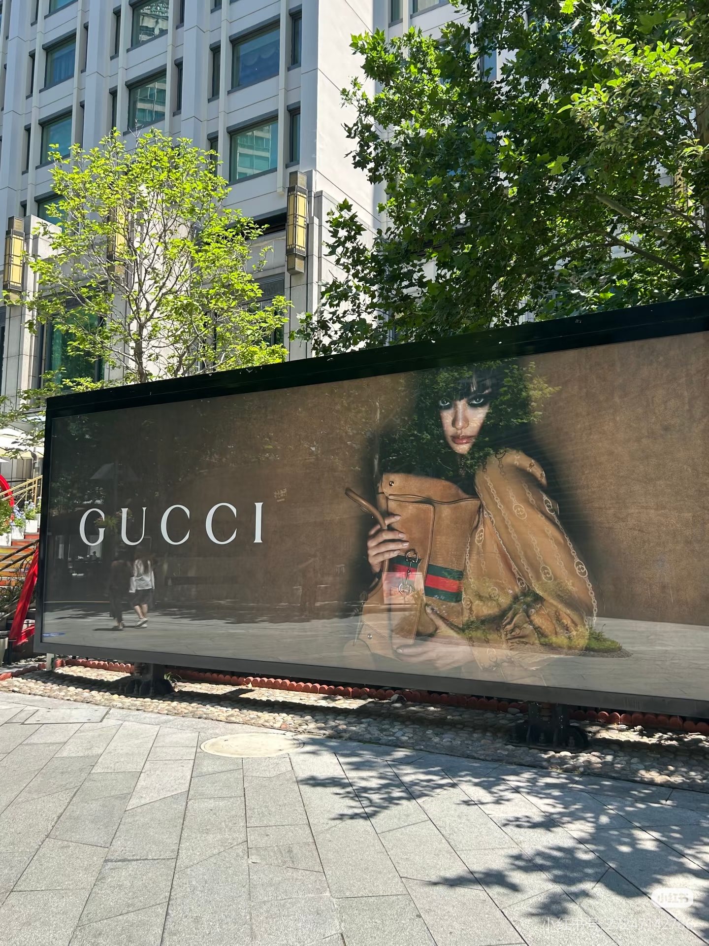 老宁在北京华贸的Gucci地广要80w老古还是那么有钱 