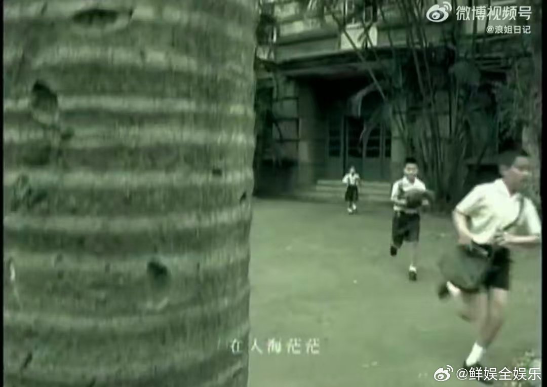浪姐大合唱换歌了改成那些花儿乘风2026大合唱换歌了！《那些花儿》旋律温柔，适配