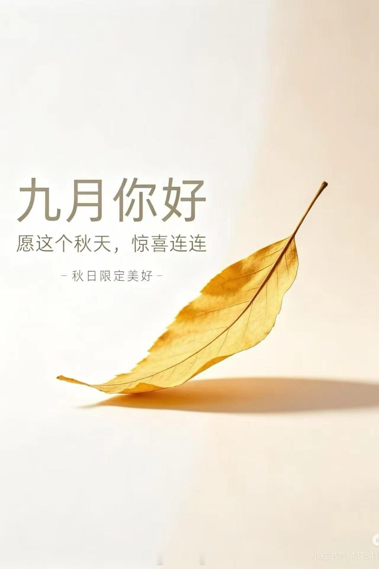 张庭[超话] 九月‮一第‬天​‎ ͏ ，把日历翻‮全到‬新的一页秋天是收‮季获‬