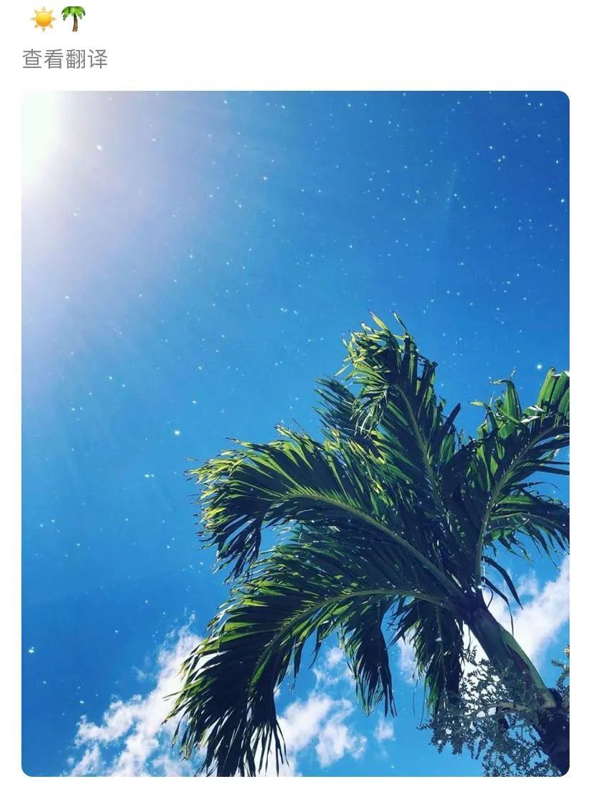 卢庚戌|这张合照能锤他们复合吗？粉丝已经炸了