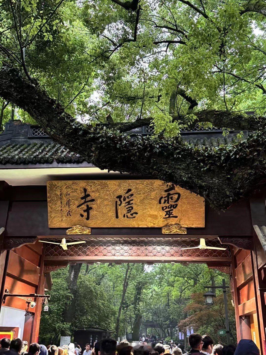 灵隐寺被38万鸽王上了一课 要避免免费公共资源被浪费，一方面，需建立合理的约束机