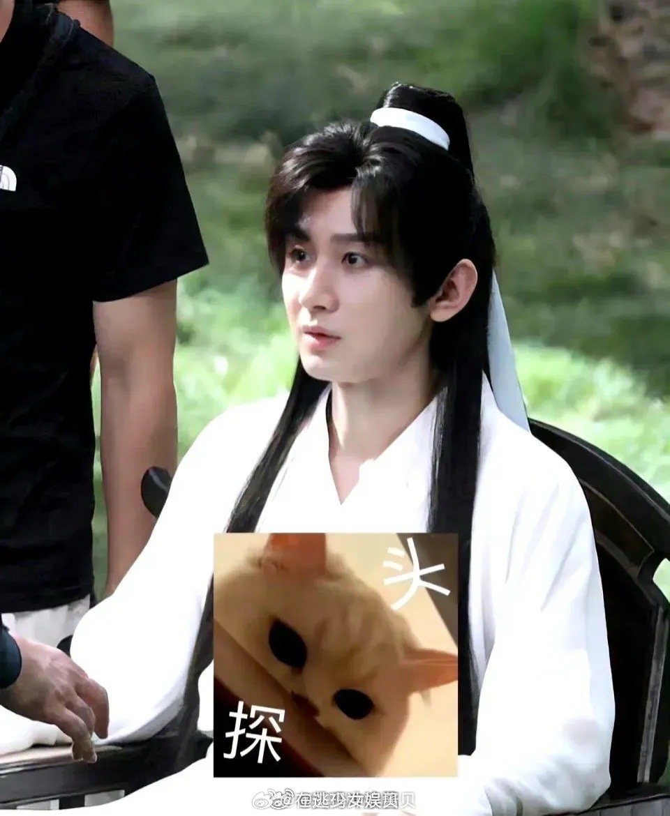 有网友说感觉成毅完美复原了谢怜，你觉得相似度高不？ 