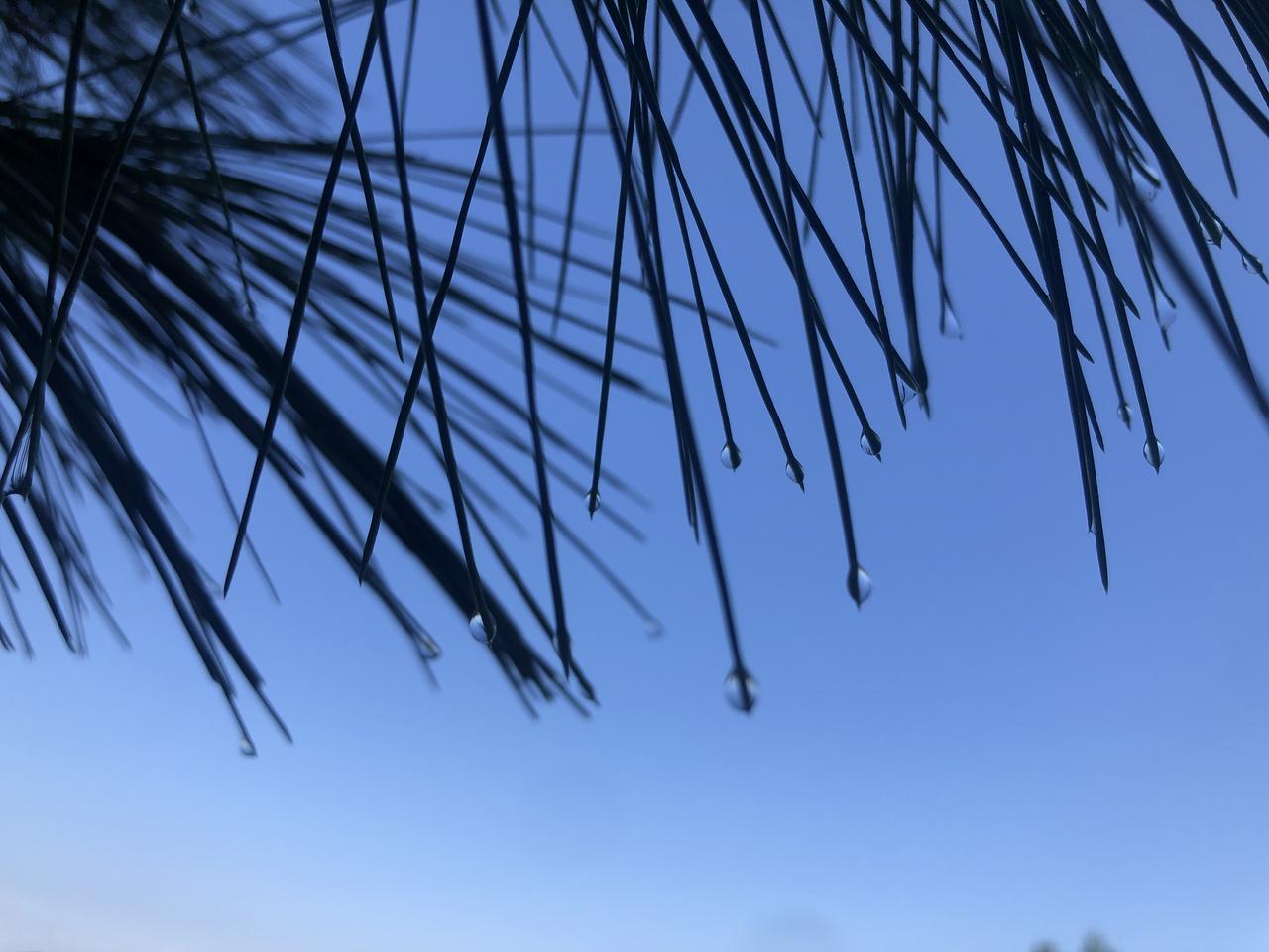很多人纠结善意谎言算不算欺骗，其实答案因人而异。单从行为形式看，它确实背离了事实