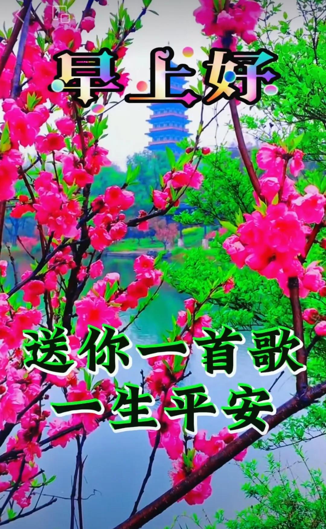 八月鮮花詠芬芳，
善緣友情總不忘，
滿滿祝福晨送上，
心態健康永陽光。
早安吉祥