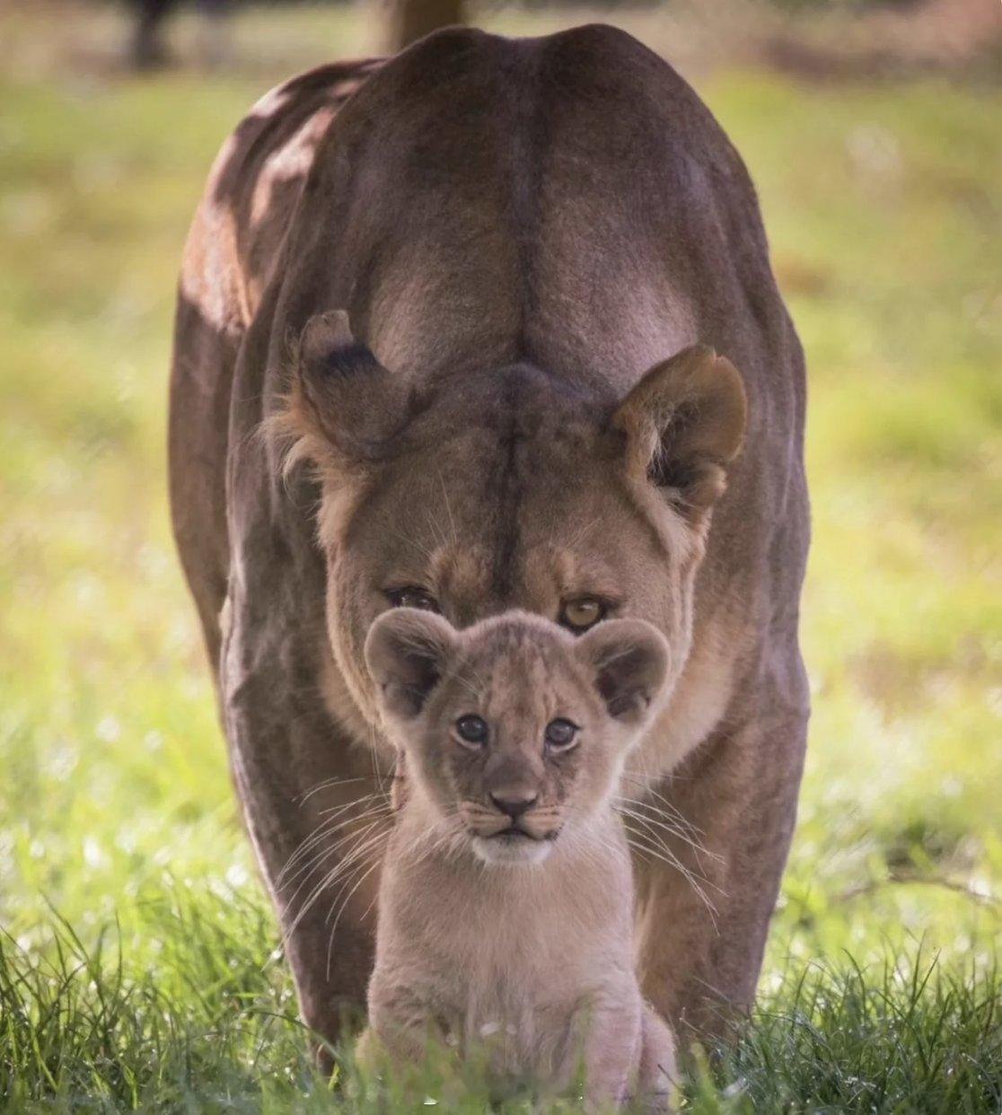 本月各类品牌邀请函密集，从邀约节奏、活动排期及沟通反馈中不难发现：不少企业内部决