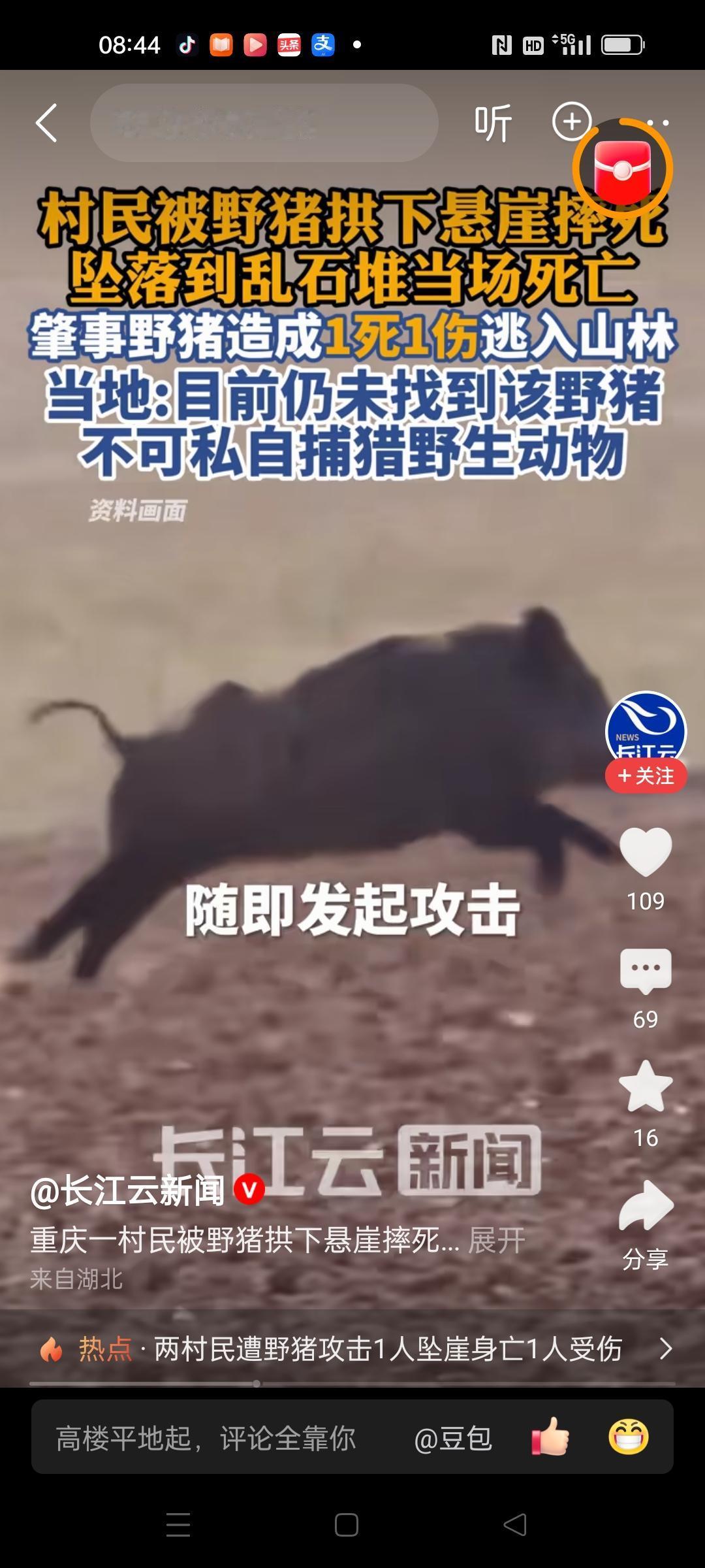 野猪还是国家保护动物吗？
现在是越来越多了，重庆奉节一地野猪频繁破坏玉米地，当地