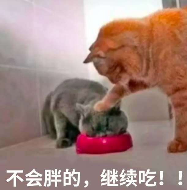 春节前瘦10斤突击法 折腾啥呀，过年吃吃喝喝又胖回去了，生死有命，胖瘦在天，吃呗