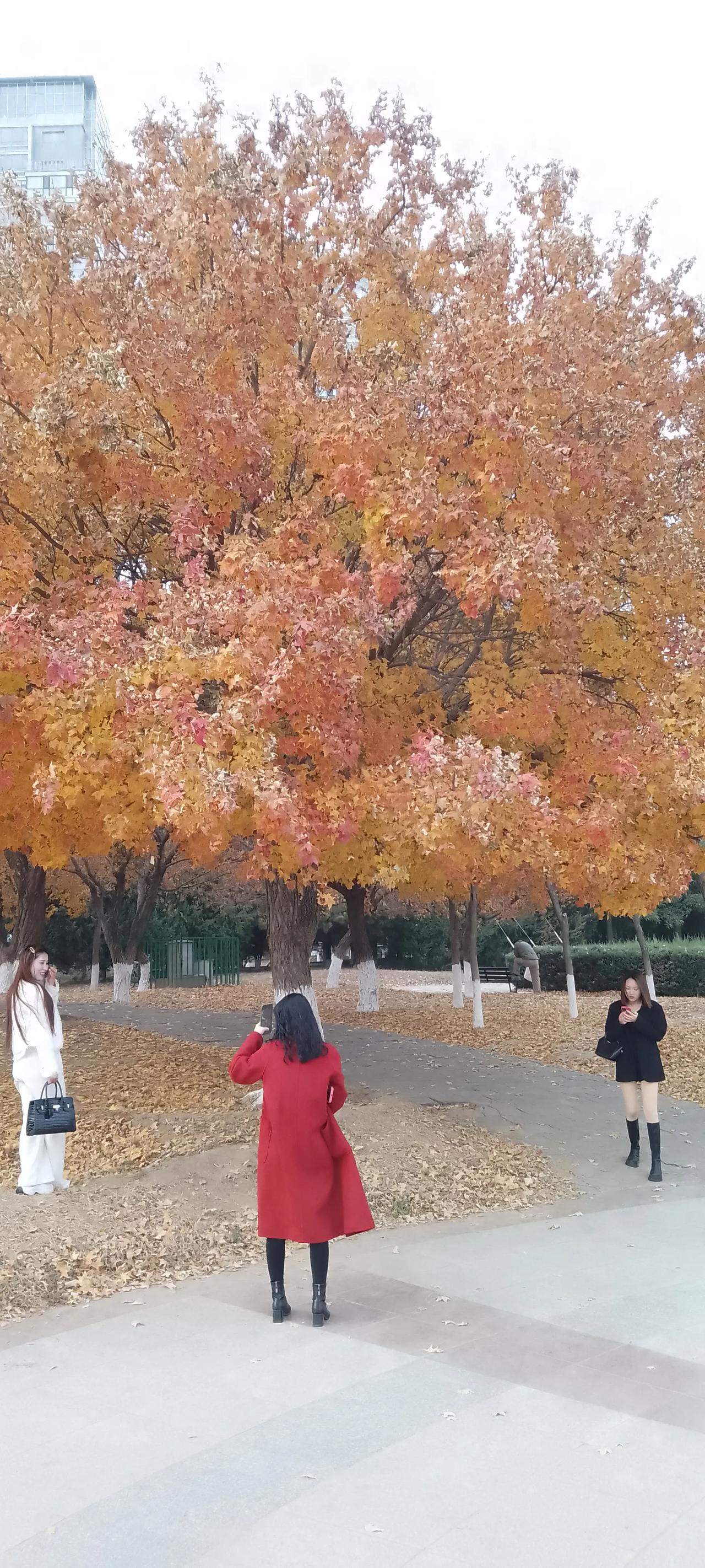 离婚的朋友在婚恋网站上和一个离异的女人相识后，已经见三次面了。
第二次见面后，男