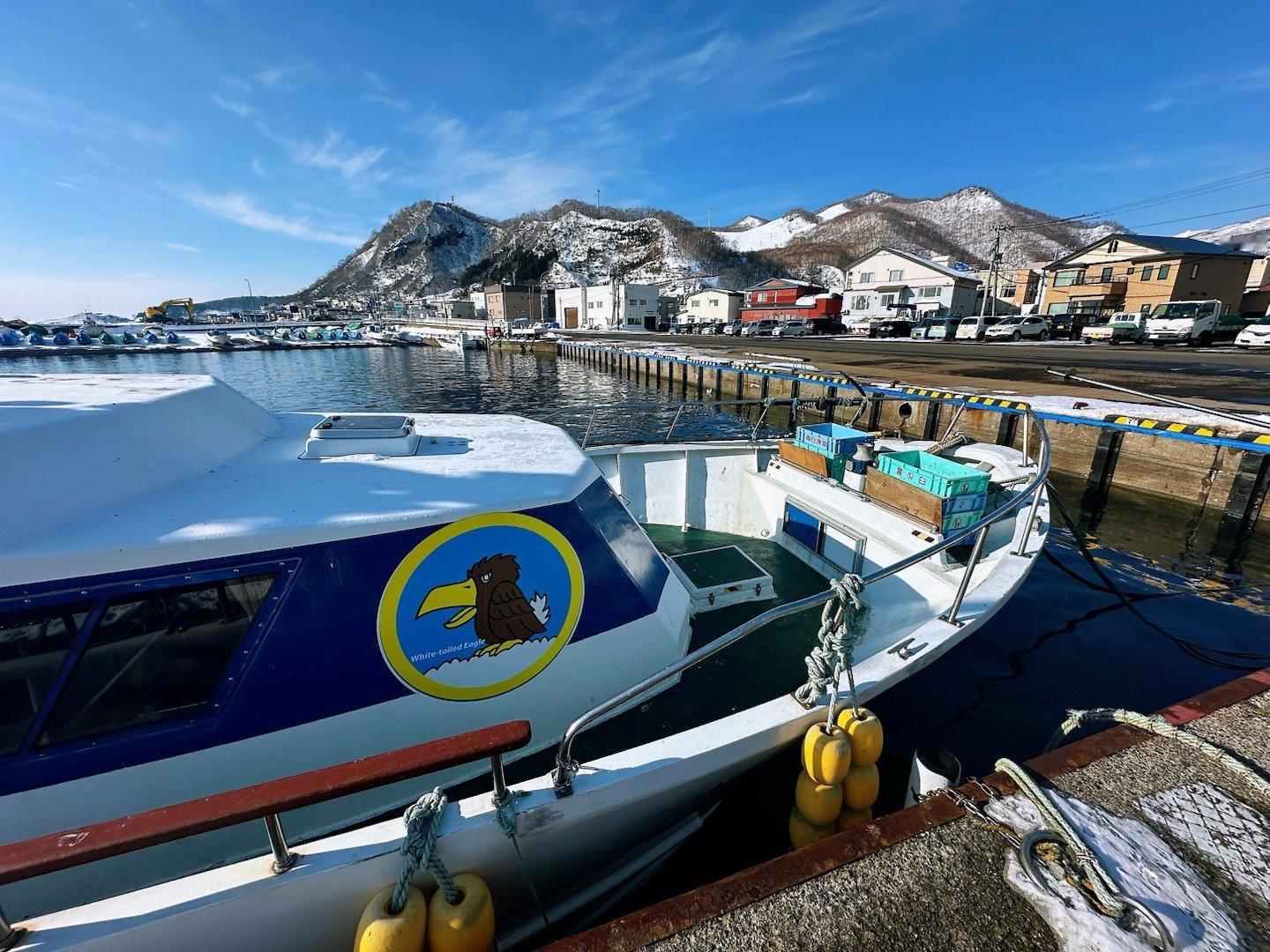 北海道最东北部，包船出海拍海雕归来。今天天气太好了，威风的虎头海雕近在咫尺，镜头