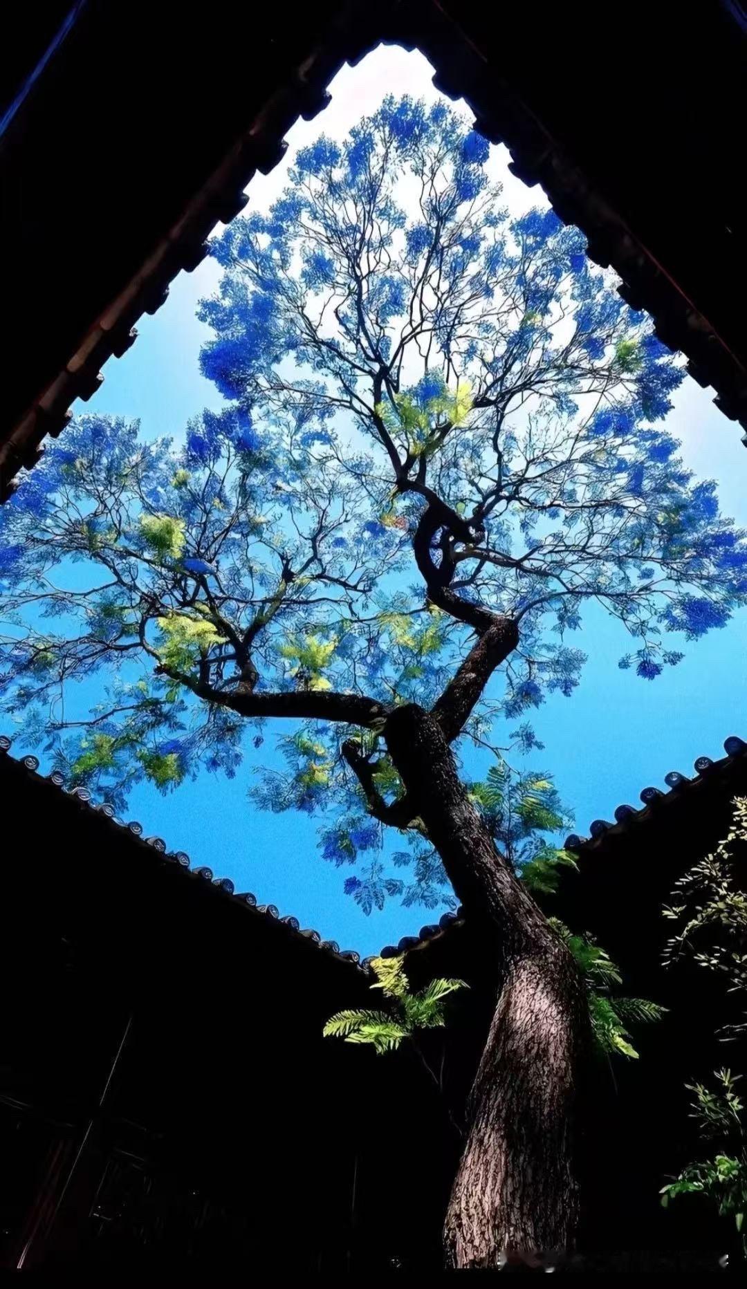 分享几张干净的天空照片 绝美随手拍天空 天空风景美照 随拍天空风景