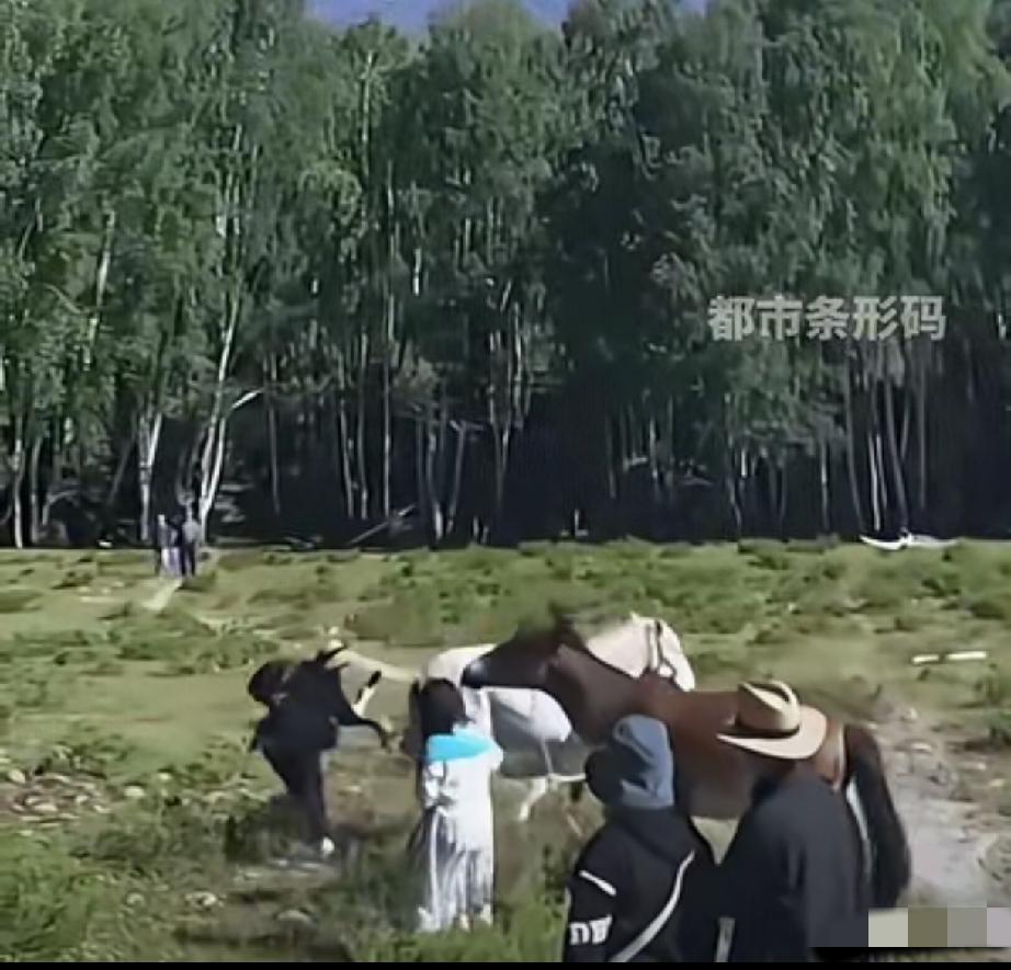 “不作死就不会死！”新疆阿勒泰，两个女游客不听劝，执意要摸马屁股，没想到，马转过
