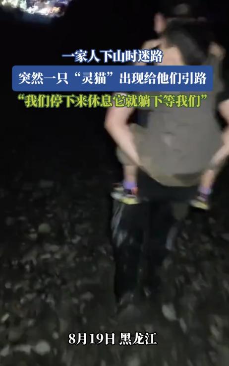 “太有灵性了！”近日，黑龙江，一家人傍晚去爬山，不料下山却迷了路，正崩溃时，前面