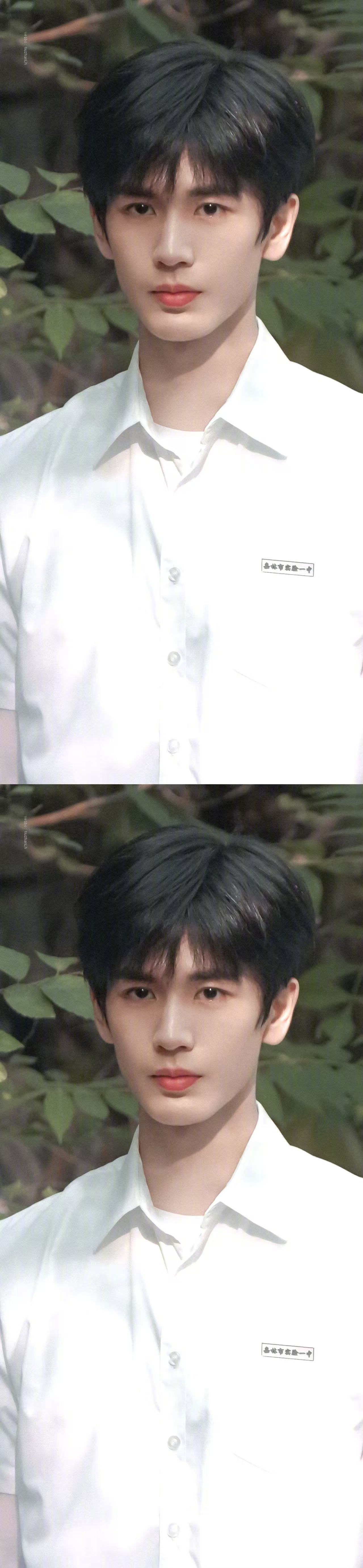 张凌赫没人喜欢蠢的吧智性恋颜狗喜欢张凌赫这款智商高，情绪稳定，长相身材身高都完美