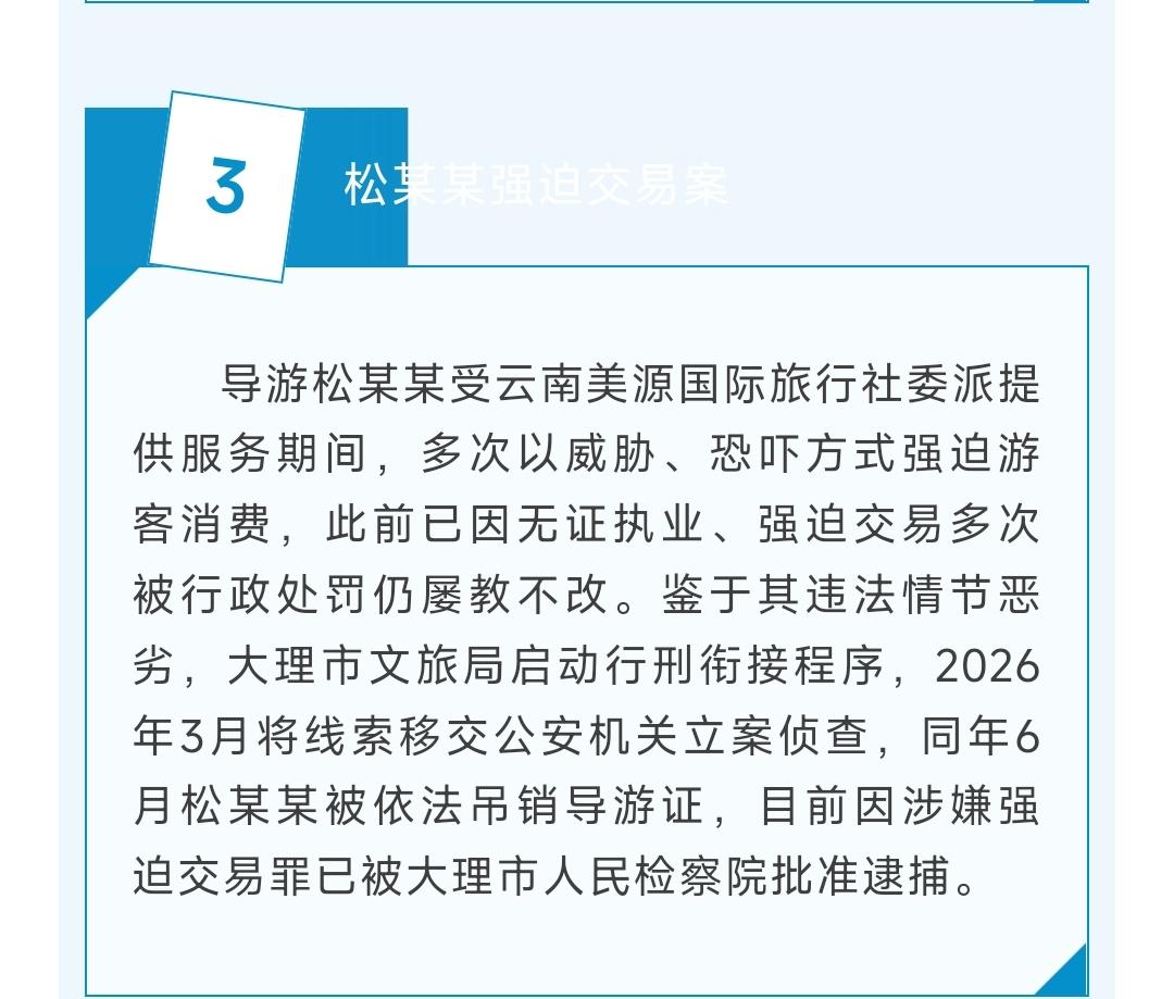 导游松某某受云南美源国际旅行社委派提供服务期间，多次以威胁、恐吓方式强迫游客消费