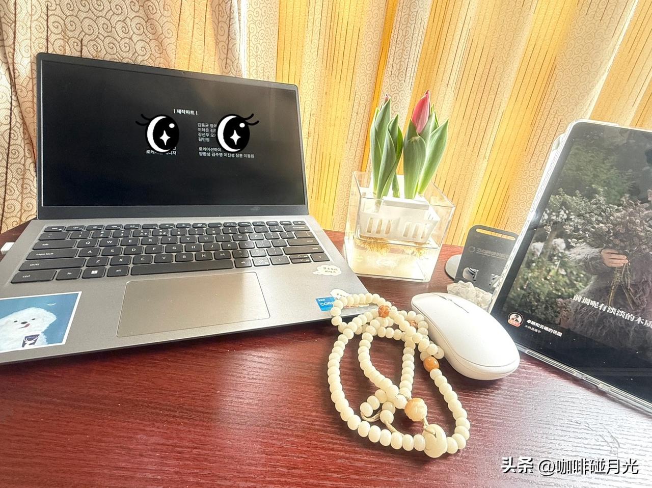 朋友送了四头长的很像大蒜🧄一样的种子
不告诉我是什么
让我等待开花
终于等来了