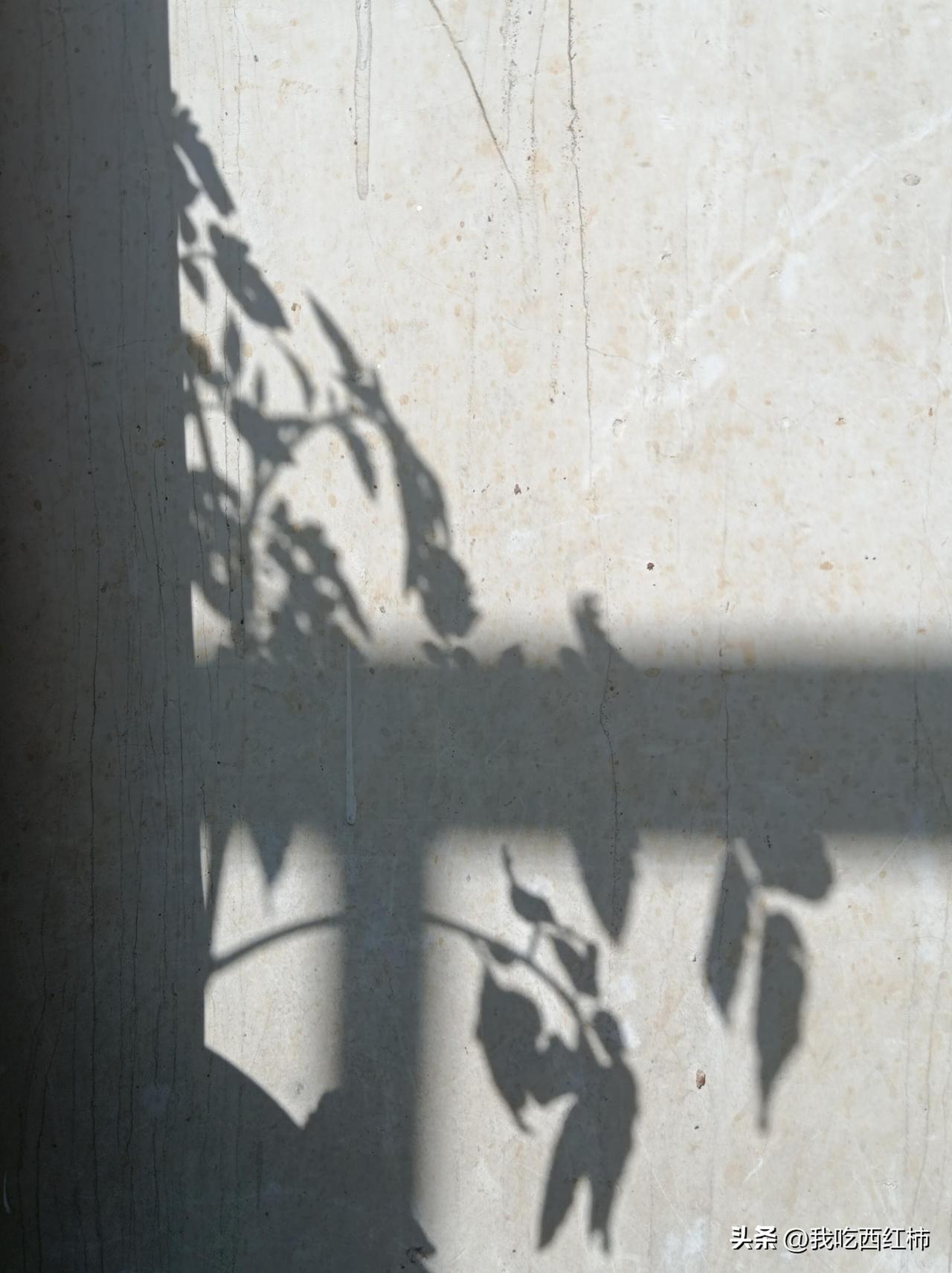 在女卫生间门口被一位大叔拦住了
年后返粤的时候，在一个服务区的女卫生间门口，一位