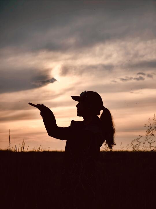 达里湖 | 小火车载着晚霞，驶向落日与银河