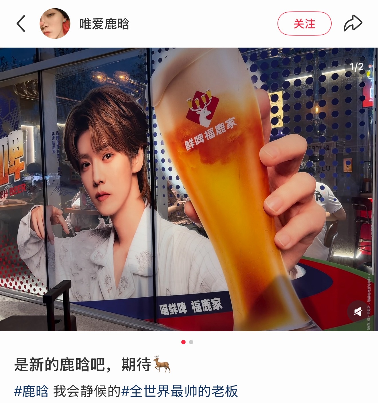 鹿晗鲜啤福鹿家品牌全球代言人 这个广告图好帅 