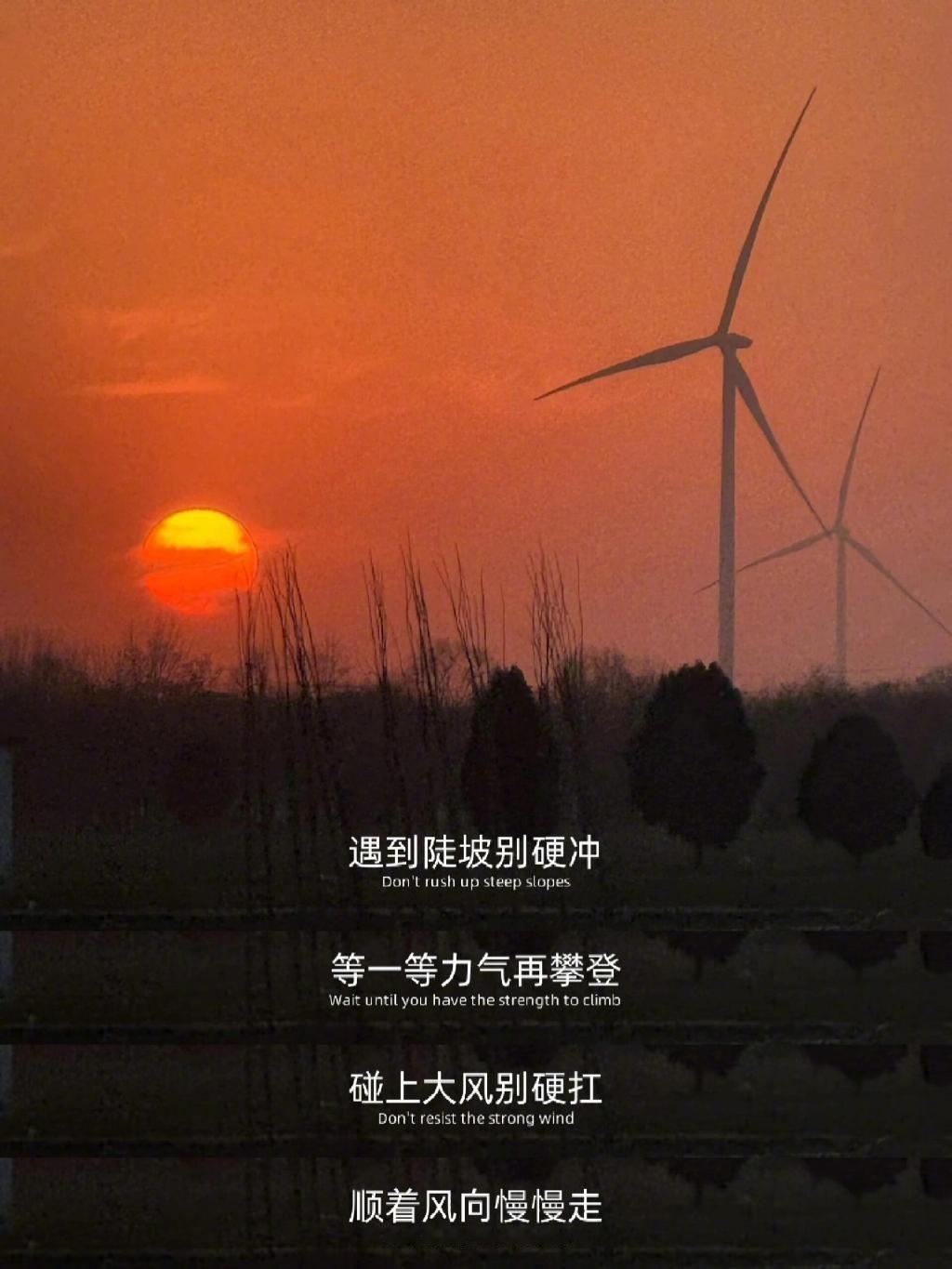 “相信时间的力量，顺势蓄势终会赢” ​ ​​​