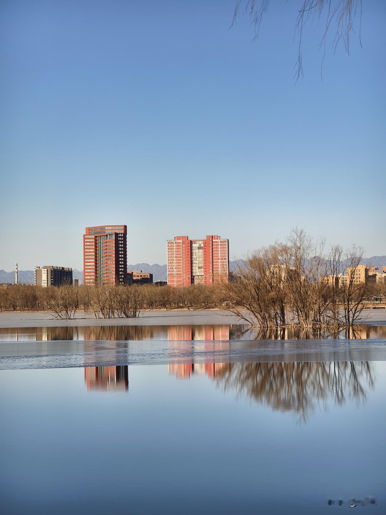 分享公园里的随手拍昌平白浮泉公园快步走随手拍水中倒影！