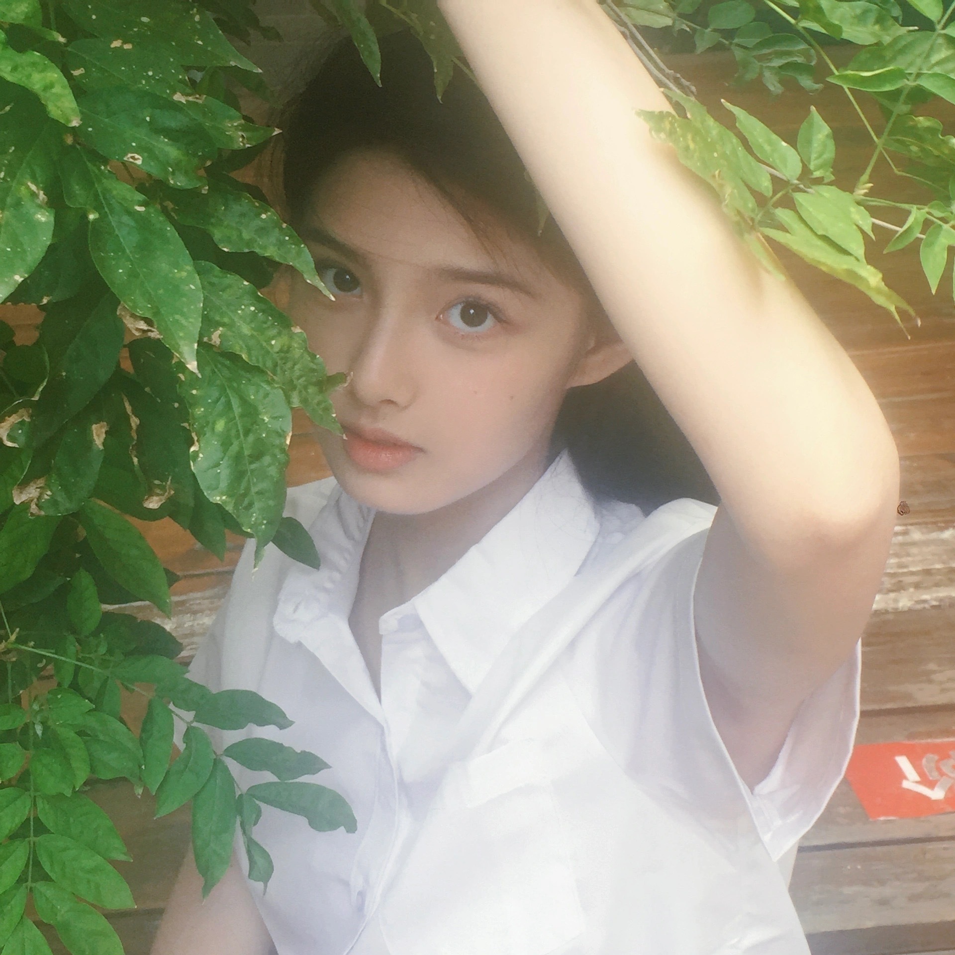 投稿艾米 校园文女主的17岁 