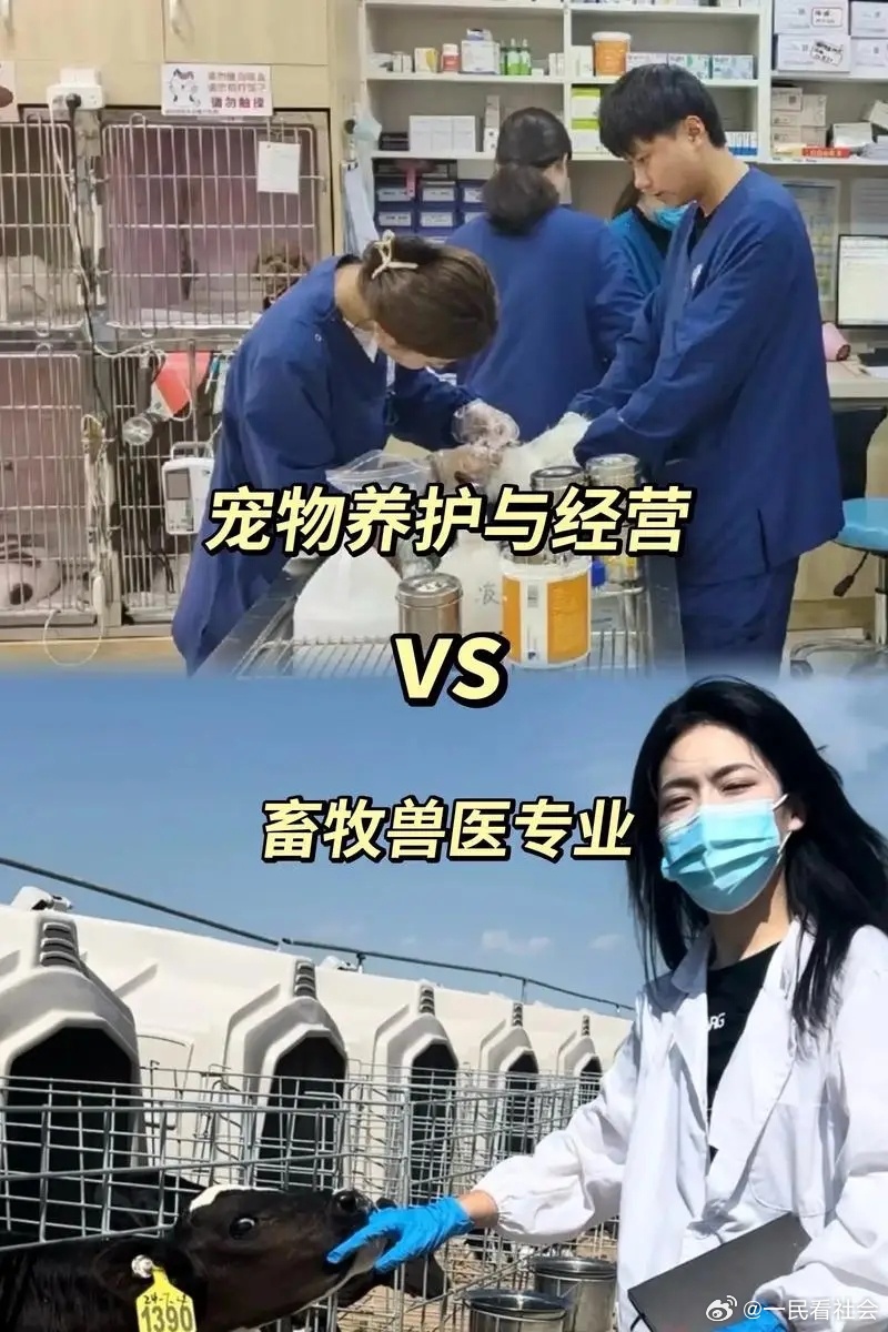 狗狗健身年卡2万元，可游泳、按摩、水疗，狗的享受超过了许多人 ，对吗？考生可以报