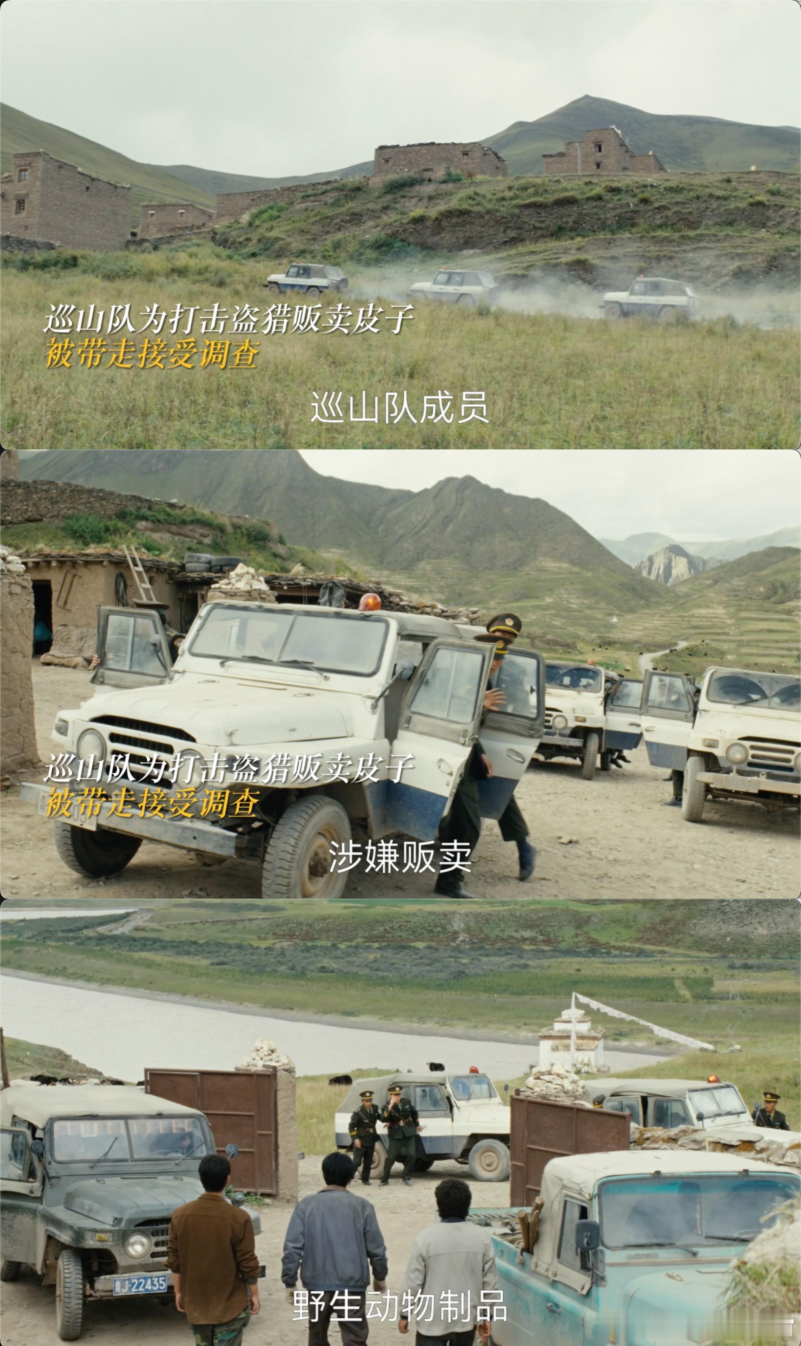 杨紫新剧1集头发全白了 谁能扛得住这样的打击⚡。白菊信任的队友背叛，视作信仰的队